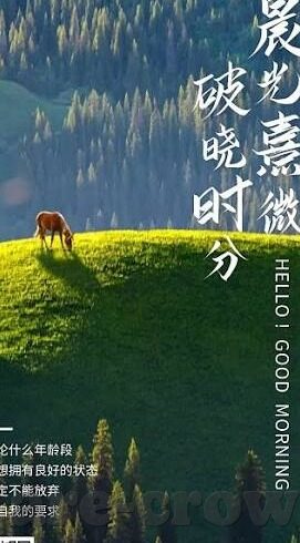 九游娱乐平台-炒股者们的新领地，九游娱乐平台